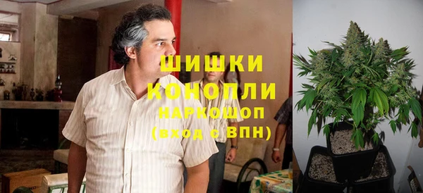 стаф Приозерск