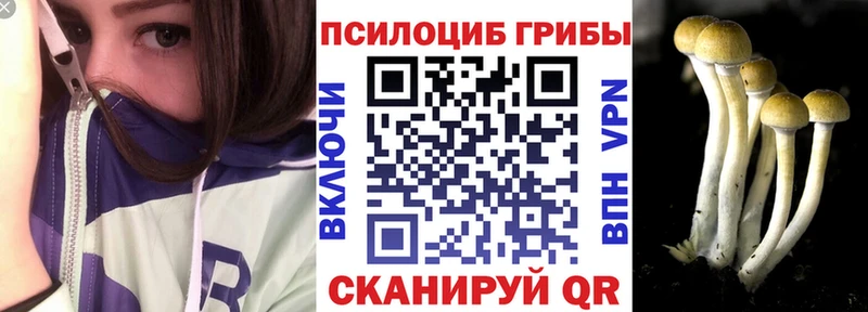 Галлюциногенные грибы мицелий  Купить  Шимановск 